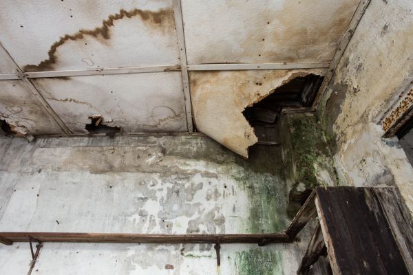 Water Damage Service in Grass Valley