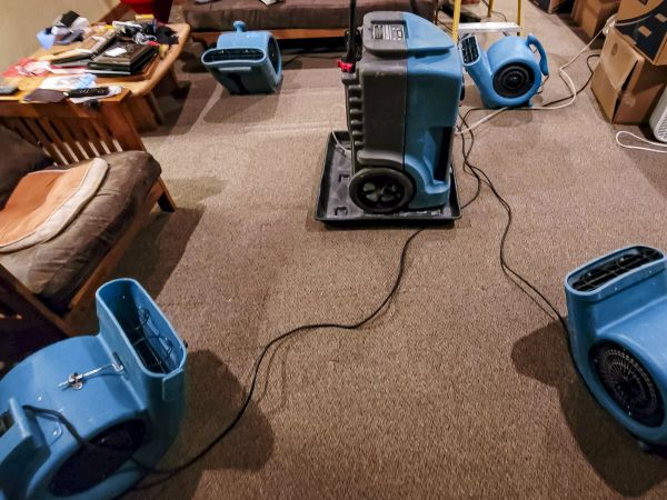 Cost of Flood Damage Recovery in Grass Valley