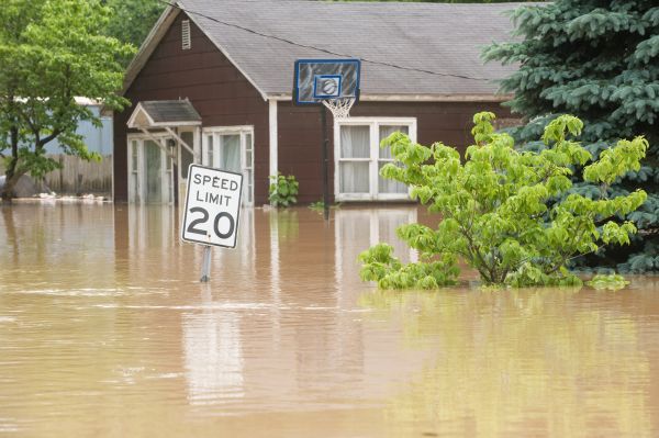 Cost of Storm Restoration Service in Grass Valley