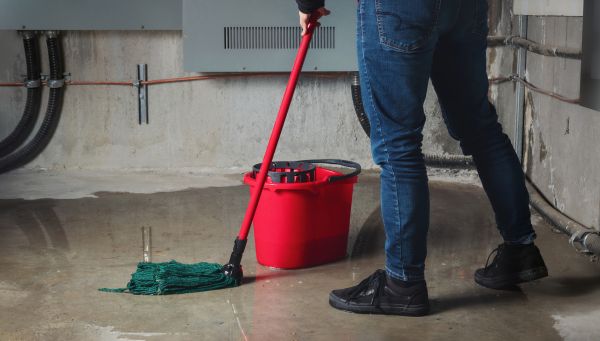 Cost of Flooded Basement Cleanup in Grass Valley