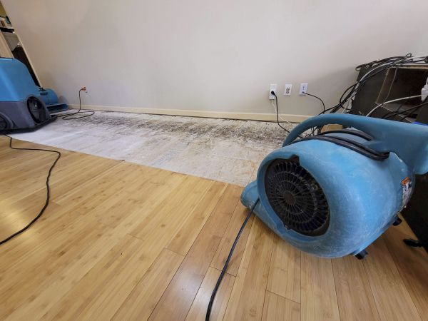 Cost of Water Damage Mitigation in Grass Valley