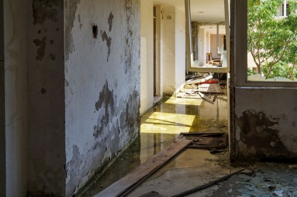 Water Removal Service in Grass Valley