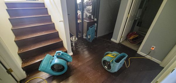Water Damage Remediation in Grass Valley
