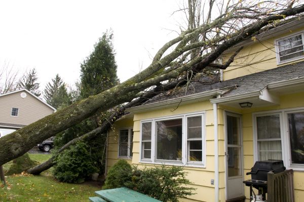 Hurricane Damage Repair in Grass Valley