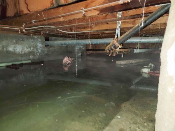 Cost of Crawlspace Water Restoration in Grass Valley